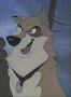 Siberian Husky - cameo in Balto III *** Husky Siberiano - aparece brevemente em 'Balto nas Asas do Destino'
