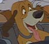 adult - Amos Slade's dog *** adulto - cão de caça de Samuel Guerra - Obs.: Dodó é a raposa, eu VI o filme