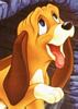 Puppy - also in 'The Fox and the Hound 2' - Amos Slade's dog *** Filhote, também em 'O Cão e a Raposa 2' - cachorro de Samuel Guerra - Obs.: Dodó é a raposa, eu VI o filme