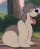 Sheepdog - Junkyard Dogs *** Cão do Lixão