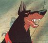 Red collar - Dorberman, Sykes' dog - 1988 *** Coleira vermelha - Dorberman, cachorro do Sykes