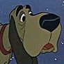 1961 - Bloodhound - Barking Chain/Dog Alert (Twilight Bark) *** Outro título: 'A Guerra dos Dálmatas' - Alerta Canino/Latido ao Luar