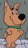 Great Dane - Scooby-Doo's nephew *** Dinamarquês - sobrinho do Scooby-Doo